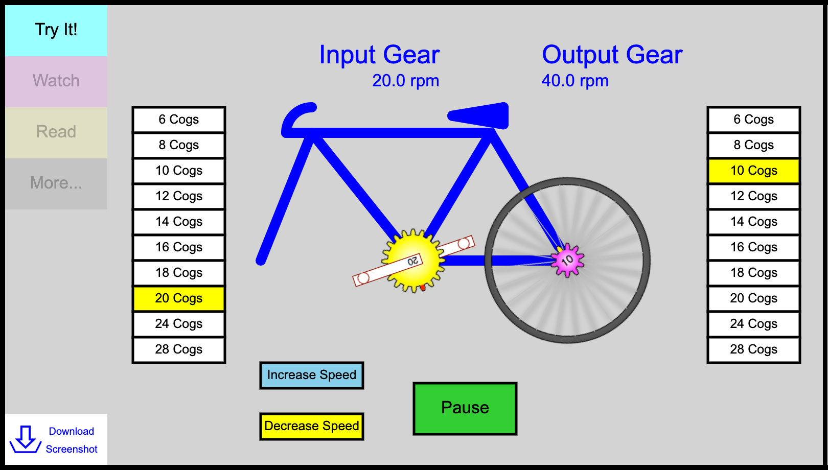 Bicycle Gears Canvas