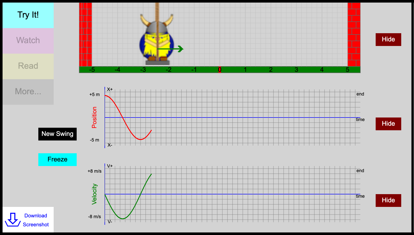 Swinging Motion Canvas